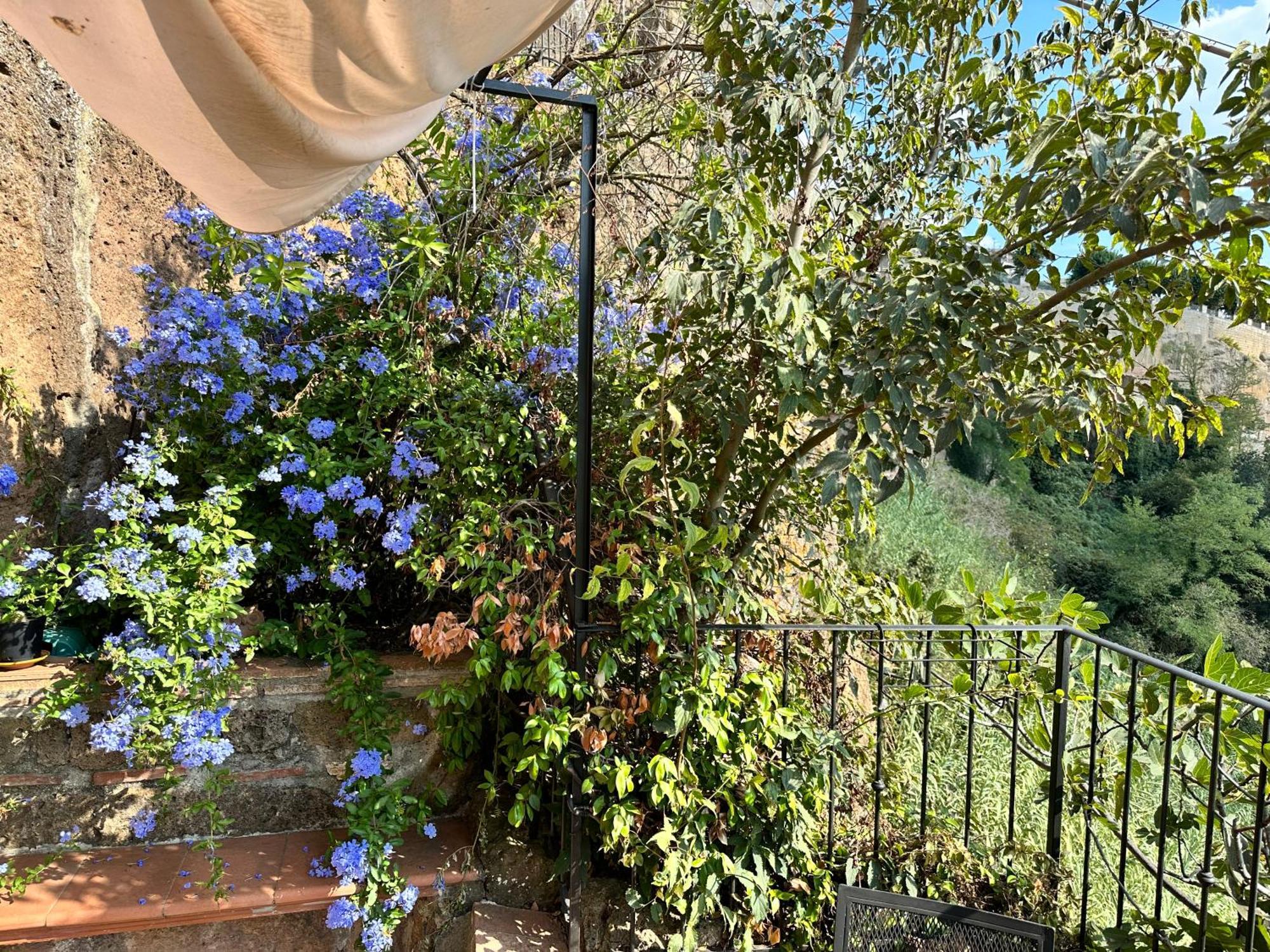 Terrazza Sul Tufo Villa Pitigliano Ngoại thất bức ảnh